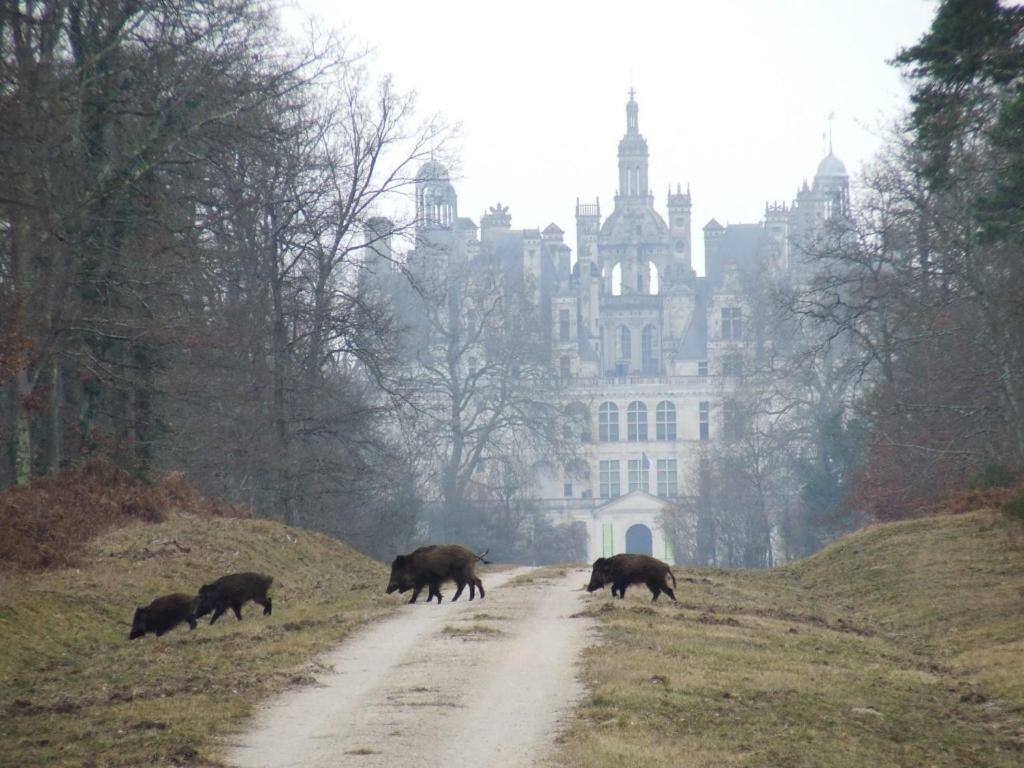 Отель La Cour Du Moulin Мер Экстерьер фото